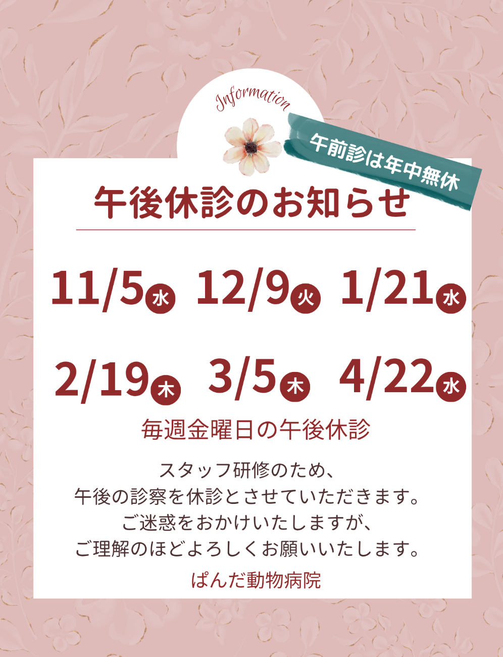 ぱんだ動物病院午後休診