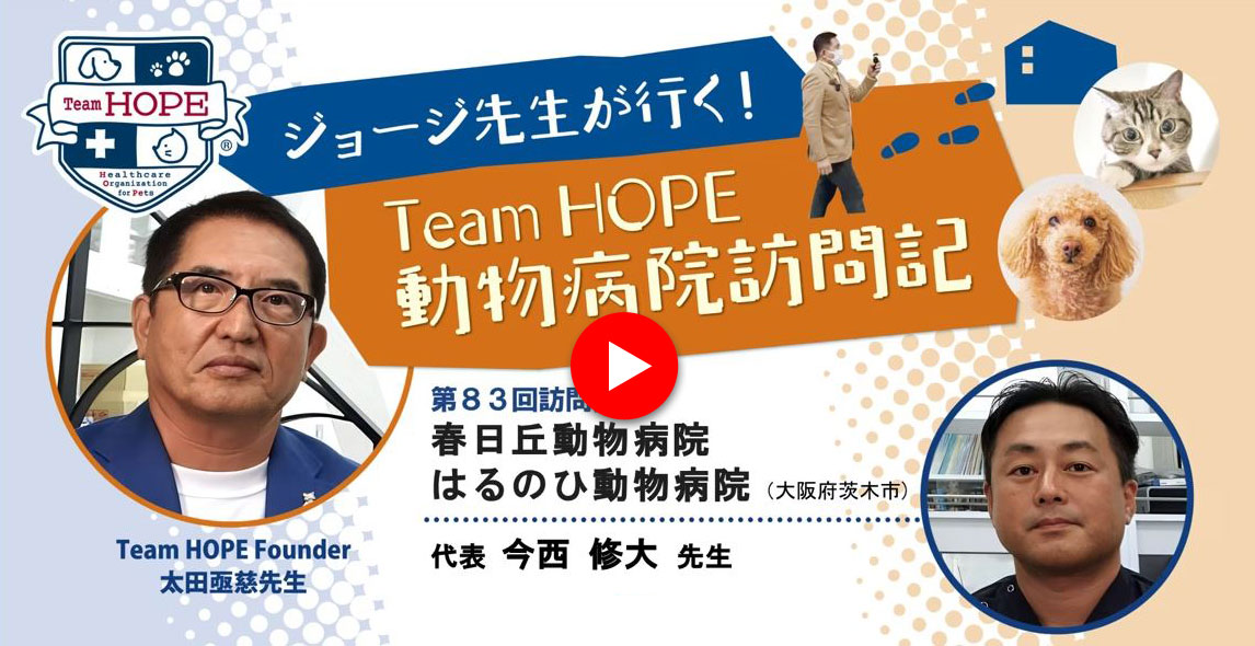 Team HOPE動物病院訪問記