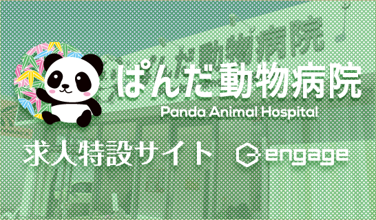 ぱんだ動物病院求人特設サイト