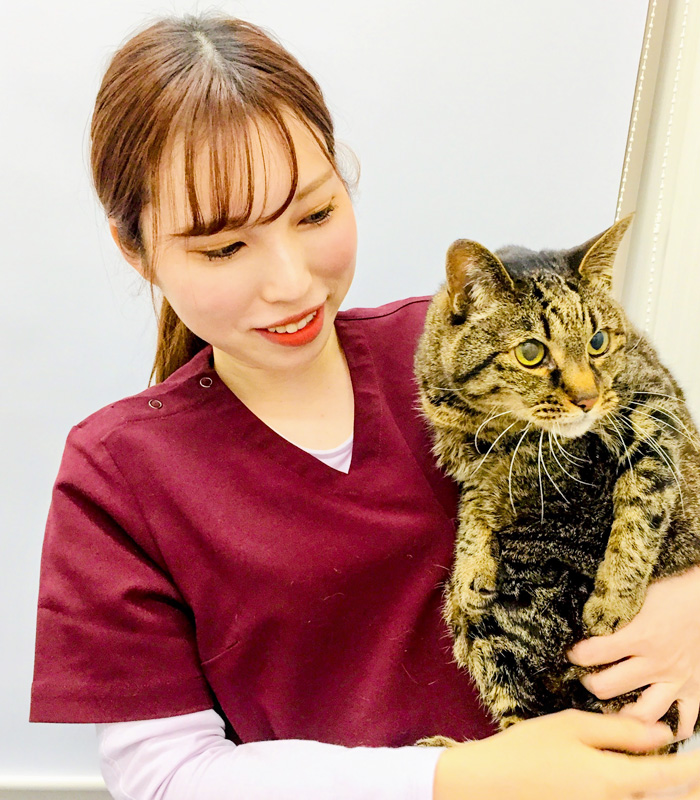 スタッフ紹介 東大阪市ぱんだ動物病院 スタッフ紹介 東大阪市ぱんだ動物病院