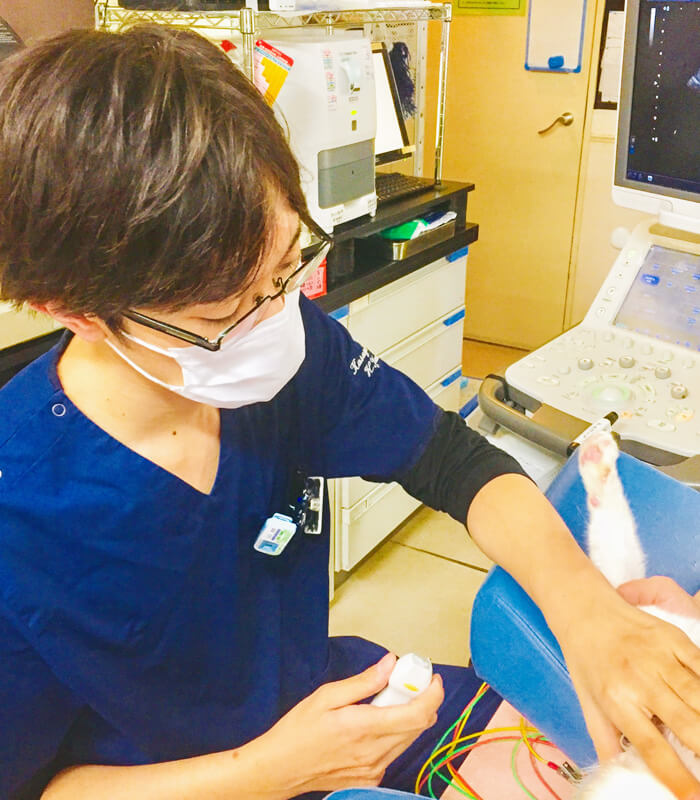 山口獣医師