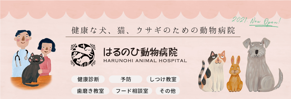 はるのひ動物病院ホームページ