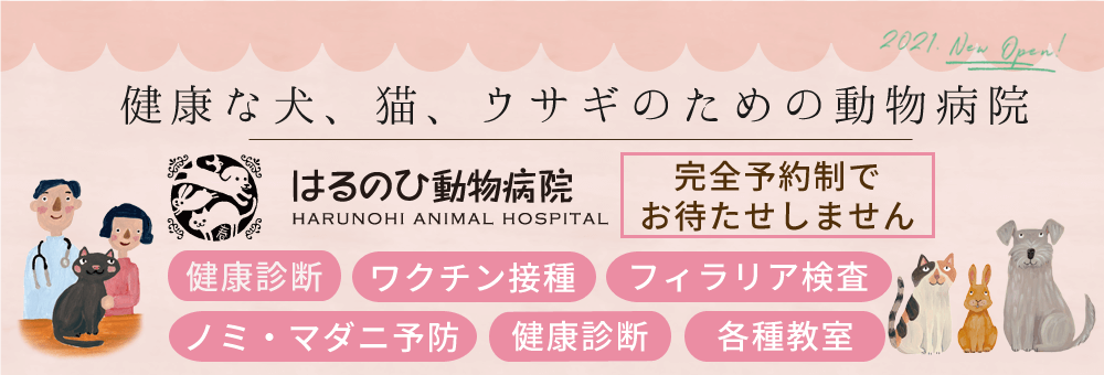 ワクチン接種などの予防、各種教室ははるのひ動物病院へ